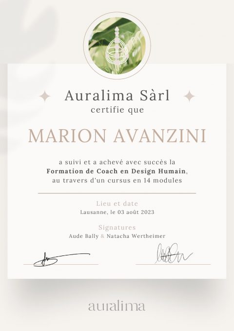 Certificat en Design Humain