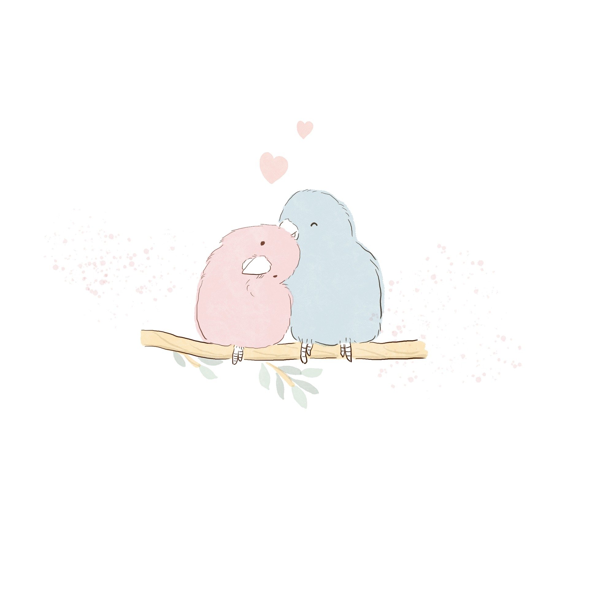 Couple d'inséparable, des coeurs représentent leur amour et la Saint-Valentin.